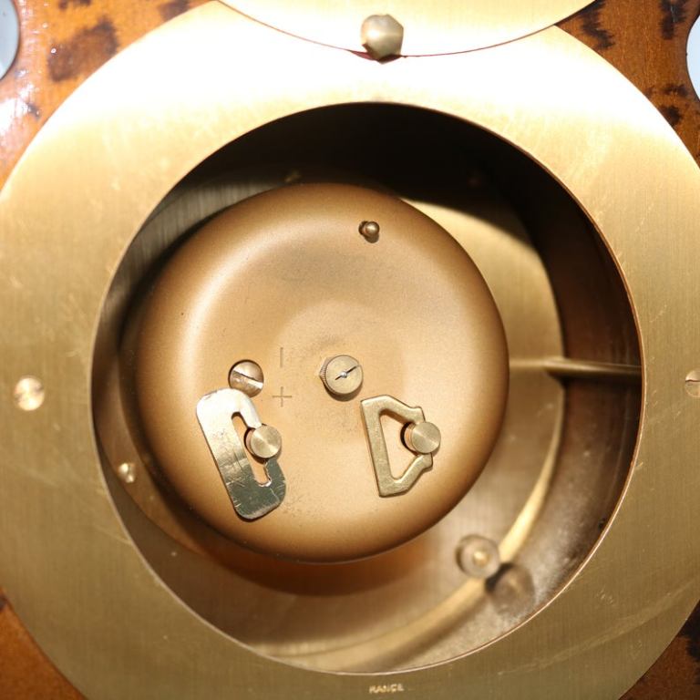 écaille de tortue (1)