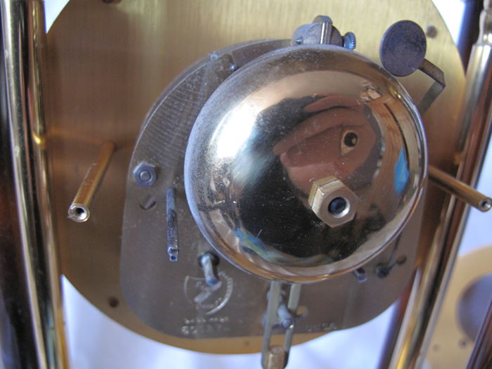 écaille de tortue (3)