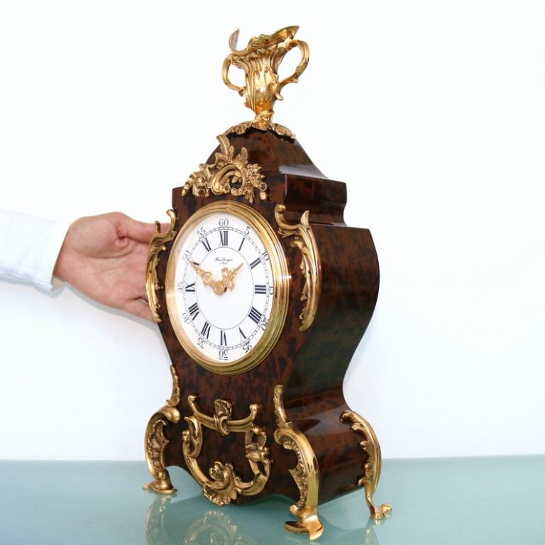 écaille de tortue (6)